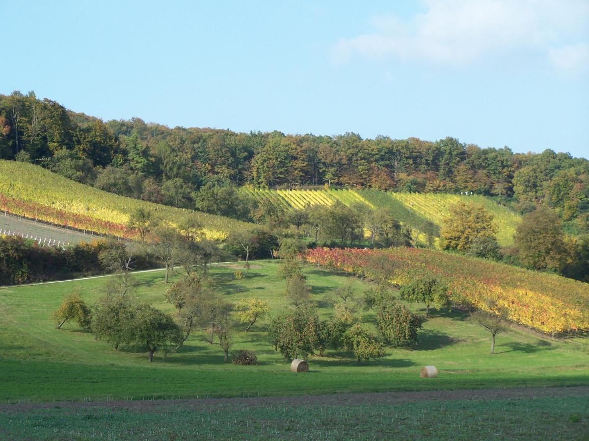 Weinhof Grosch Apartamento Sugenheim Exterior foto